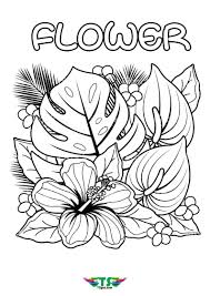 Maybe you would like to learn more about one of these? Flower Printables Flowers Coloring Pages Free Printable Flower Coloring Pictu Tsgos Com Tsgos Com