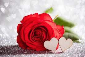 Rose And Hearts On Silver Glowing Bokeh Hearts Background For Rose Flower Wallpaper Wallpaper Nature Flowers Bokeh Wallpaper
