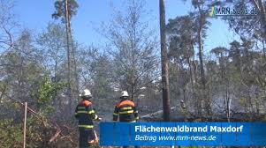 Rhein Pfalz Kreis Flachenwaldbrand In Maxdorf Metropolregion Rhein Neckar News Events