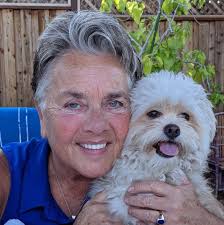 How to remove a hornet nest from a back door awning?