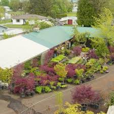 Valley center nursery was created in 1994 by robert & janet hancock. Greenacres Nursery Nurseries Gardening 18605 E Appleway Ave Spokane Valley Wa Phone Number Yelp