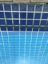 Secrets for keeping pool tile tantalizing! How Do I Clean These Pool Tiles I Tried Some Grease Removers But They Don T Work Pools