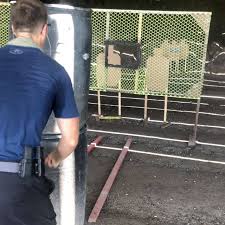 Had a great time as always shooting the...