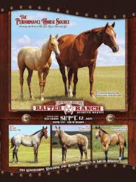 Inset photo shows silver at a few days of age; Open Box Rafter Ranch 2015 Performance Quarter Horse Sale By Livestockdirect Issuu