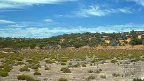 Image result for mallee country
