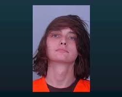 Zimmerman Man Sentenced to Prison for Attempted Murder