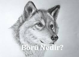 Olum Haric Her Turlu Hastaliga Her Turlu Belalara Musibetlere Karsi Okunacak Dua Her Turlu Belalardan Korunmak Icin Cizim Karakalem Cizimler Hayvan Eskizleri