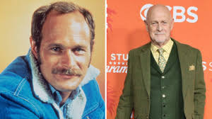 Whatever Happened to the Cast of 'Simon & Simon'?