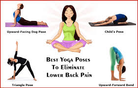 The appropriate poses can relax and strengthen your body. Fitness Goals How To Do Cardio Routine With Back Pain