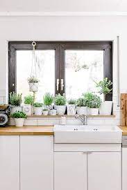 dekostile com kuchen fensterbank krautergarten kuche indoor pflanzen dekor