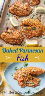 Garlic Parmesan Fish Recipe Keto With Smoky Spices Best Recipe Box Recipe Parmesan Fish Recipe Fish Recipes Paleo Fish Recipes