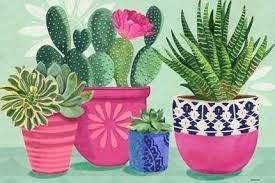 +7.000 vectores, fotos de stock y archivos psd. Pin De Iris Haltom En Magic Muse Flowers Ilustracion De Cactus Pintura De Cactus Fondos De Cactus