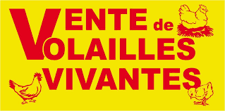 Les produits vendus proviennent de notre exploitation ou de producteurs de noisette dans le loir et cher, nous vous proposons une gamme de produit avec des noisettes décortiqués, en coques, biscuit. Alpes Maritimes 06 Vente Directe Producteur