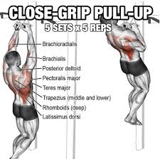 Back Workout But Slightly Different Part 5 Close Grip Pull