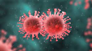 Fda authorized vaccines · benefits of vaccination 7 More Coronavirus Deaths Added In Manitoba 130 New Cases Ctv News
