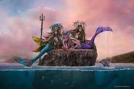 Texas School Of Professional Photography