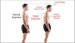 Pin On Posture Tips