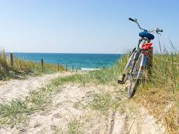 Fischland Darss Zingst Mit Dem Fahrrad Erkunden Relamare Der Natur Ganz Nah