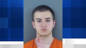 She's one of our kids': Spider monkey returns to family after missing for  24 hours