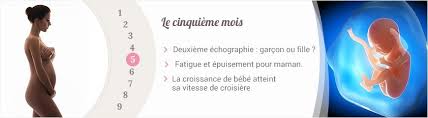Cette dernière, appelée examen morphologique, est généralement. Votre Grossesse Pendant Le Cinquieme Mois Tout Savoir La Folie Du Bebe