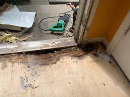 Homeowners know that wood rot is a fact of life. Wood Rot Repair New Leaf Home Repair And Remodeling