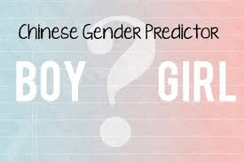 chinese gender predictor daymoms com