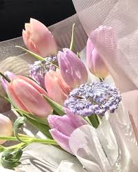 Barbieville In 2020 Beautiful Flowers Flowers Pretty Flowers