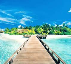 Check spelling or type a new query. 50 Samsung Galaxy Wallpaper Screensavers On Wallpapersafari