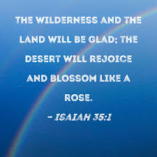 Isaiah 35:1 The wilderness and the land will be glad; the desert will  rejoice and blossom like a rose.