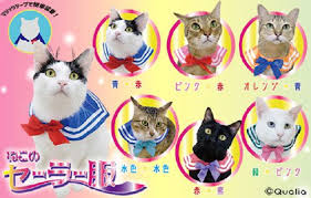 Free fire hack generator best new hacks 2020. Cat Cosplay Collars Form Japan Turn Your Kitty Into Sailor Moon In Everything But Name Photos Soranews24 Japan News