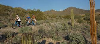 Dirt bike rental and renting pitbikes and motocross rides for adventure is something all bikers must do. How To Choose A Bike Scottsdale Bike Shop Rei Co Op Adventure Center