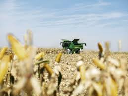 Afla ca in acest judet exista un potential imens pentru acest gen de business iar fondurile alocate prin pndr pentru. NumÄƒrul Fermierilor Care Fac AgriculturÄƒ EcologicÄƒ S A InjumÄƒtÄƒÈ›it Romania Libera