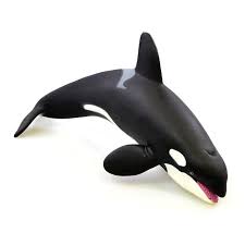 Mainan Miniatur Hewan Ikan Paus Pembunuh Killer Whale Safari Ltd 17 Cm Shopee Indonesia