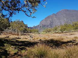 Il faut désormais justifier d'un motif impérieux pour prendre l'avion. Reunion Les Voyageurs Devront Justifier Leurs Motifs Imperieux 6 Jours Avant Le Depart