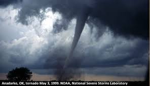 Check spelling or type a new query. Tornado Survivor Stories