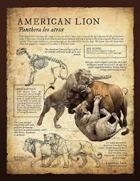 Natural History Museum Signage Part I On Risd Portfolios Prehistoric Animals Extinct Animals Ancient Animals