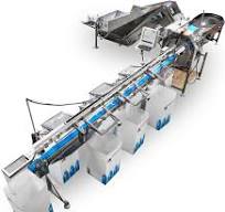 High Volume Counting and Sorting System (HLZ) - Machinex