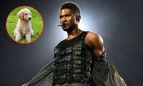 Lucky3110 has uploaded 2847 photos to flickr. 5 Celebrities That Have Doodle Dogs