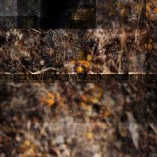 We never see anything all at once. Instead, we construct our perception  through distinct glimpses—small focal points that coalesce into an  apprehension of the whole." Lee Emmert is returning to academia after