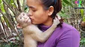 Koko & Yoko's Family: Mom Take Cute Koko To Bathing