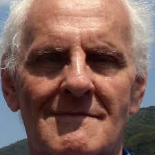 Amazon.com: For Information Specialists: Interpretations of References and  Bibliographic Work (Information Management, Policy, and Services):  9780893919832: Howard D. White, Marcia Bates, Patrick Wilson: Books