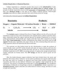 What are the reactants in this equation? Cellular Respiration