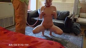 ご主人様に雌犬として躾けていただきました