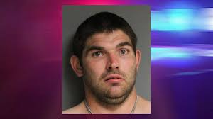 Gnatalie is the only green-boned dinosaur found