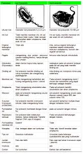 Dilihat dari strukturnya sel dibedakan menjadi sel prokariotik dengan sel eukariotik. Pengertian Perbedaan Sel Prokariotik Sel Eukariotik