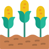 Centre (amic), my biomass sdn bhd, global cleantech innovation program (gcip). About Free The Seed