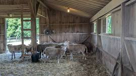 VSDC Volunteer Day at Poplar Spring Animal Sanctuary