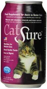 What about all those antioxidants? Pin On Cats Lover