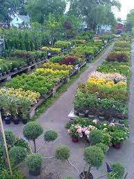 Pin By Peggy Mitchell On Magic In The Retail Garden Center Garden Center Displays Garden Center Vegetable Garden Design