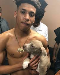 Nle Choppa Popular Music Artists Bad Kids Hip Hop Singers Nle choppa , a newly minted 2020 xxl freshman , is a skilled rapper and has multiple big songs to watch nle choppa introduce his new dog, name his favorite superhero and more in his version. nle choppa popular music